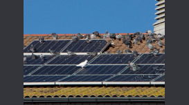 Solar Panel Bird Proofing Scotland